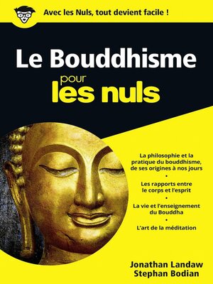 cover image of Le Bouddhisme Pour les Nuls